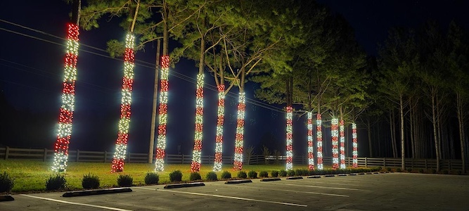 How Professional Path Lighting Enhances Safety and Curb Appeal