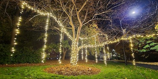 Protecting Your Holiday Display: Solving Milton’s Unique Landscape and Weather Lighting Challenges
