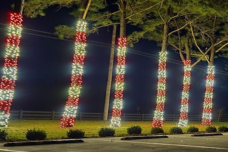 The Art of Tree Wrapping: Bringing Holiday Magic to Your Yard